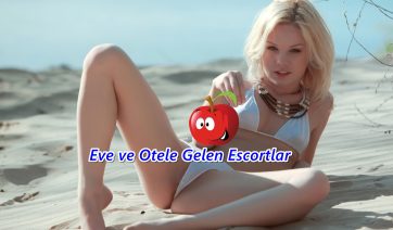 Arabada Sikişen Seksi Escort